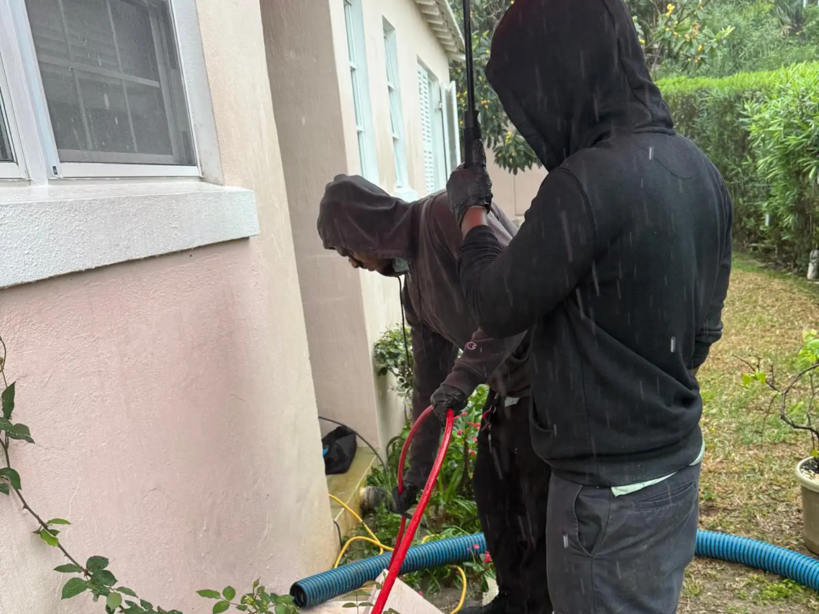 gress-cleaning