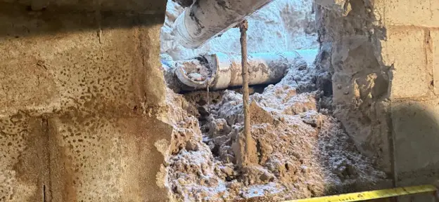 Leak Detection and Repairs